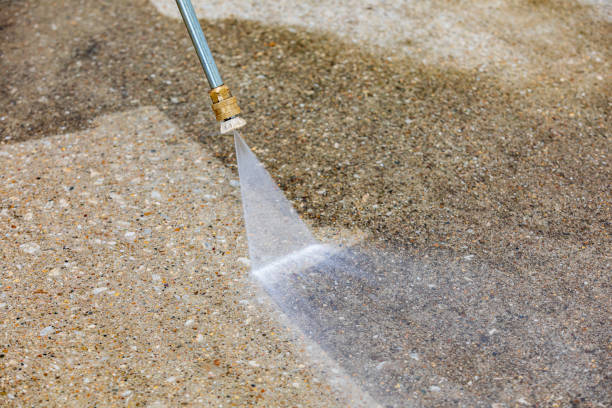 Best Soft Washing  in Silver Springs Shores, FL